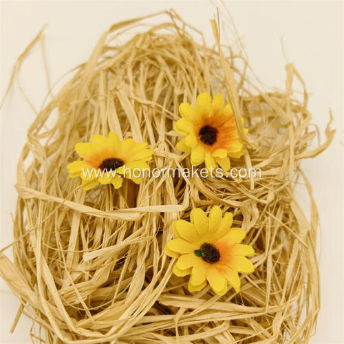 Easter Bird 's-nest grass